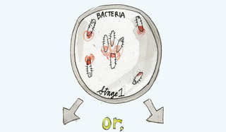 Illustration for article titled From Antivirus to Antibiotics, McAfee Searches for a Last Cure